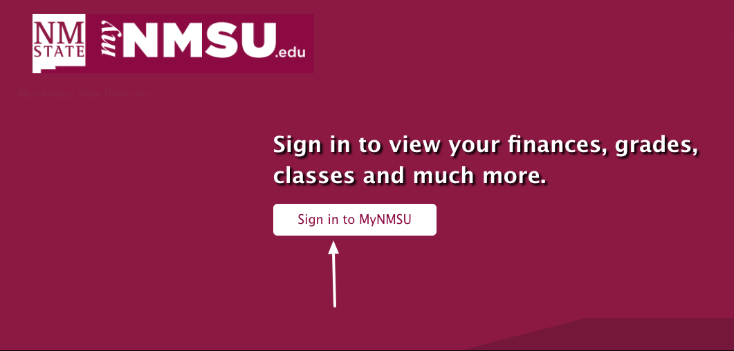 mynmsu login